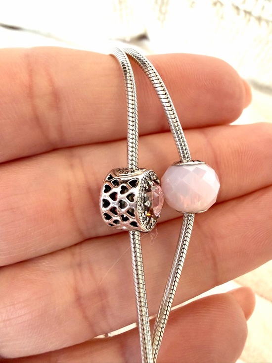 RARE❗️ Retired PANDORA ESSENCE Set of 2 Bracelets & 4 Charms - Picture 7 of 17